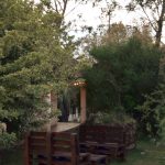DSC 0239