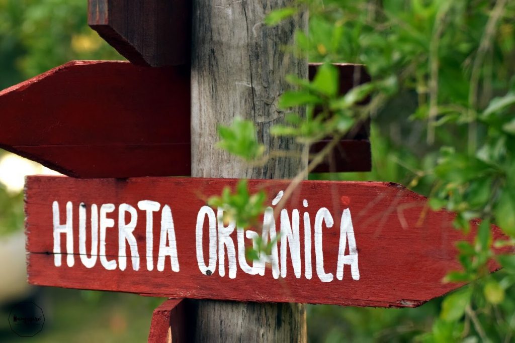 FOTO PRINCIPAL DE LA SECCIÓN